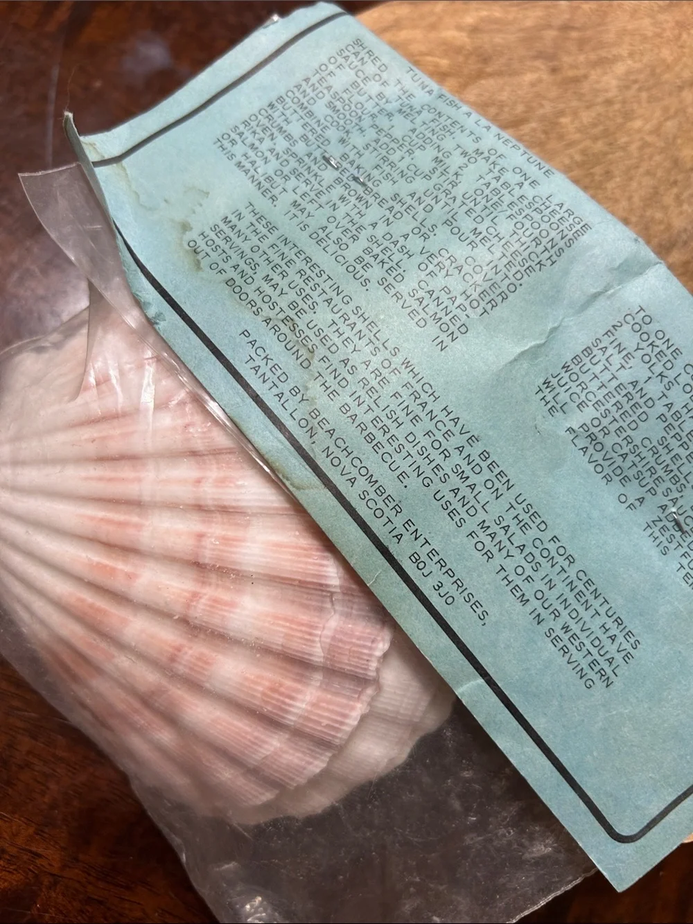 Set of Natural Ovenproof Baking Shells 1970’s (NOS) Sealed Package of 4 Scallop